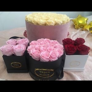Venus Et Fleur Small Long Lasting Roses Box